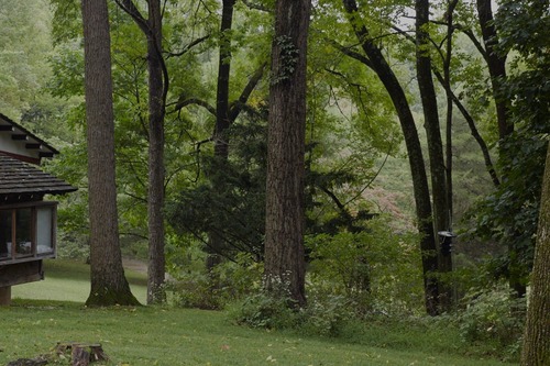 home-tree-reception-house-1920x1280