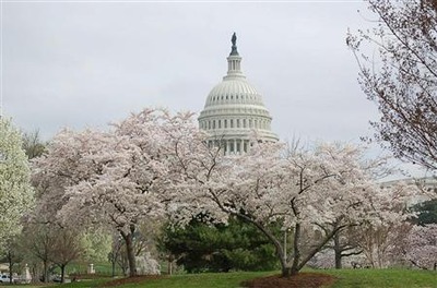 20120320-00000099-san-000-1-view