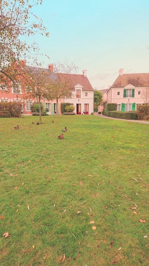 PICNIC_20191025_130851931