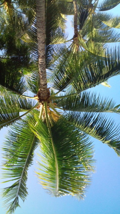 20121008085124