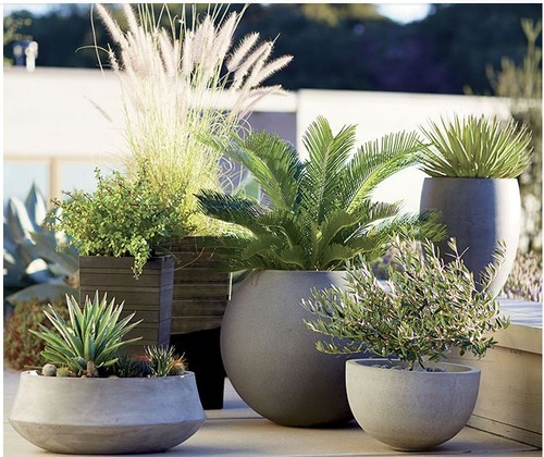 4d23d2f6cb0eaa32ff8215ae9a845a4d--container-garden-crates