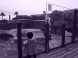 R0012901
