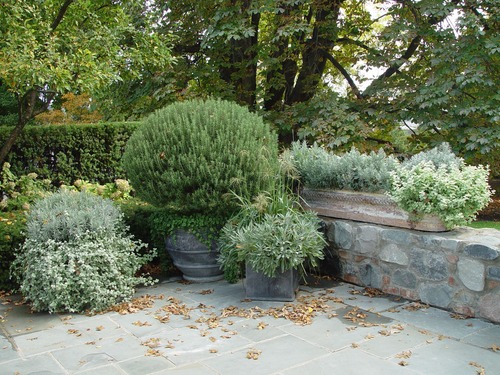 e1ac0c20bdce9fad77ea8c430ff38104