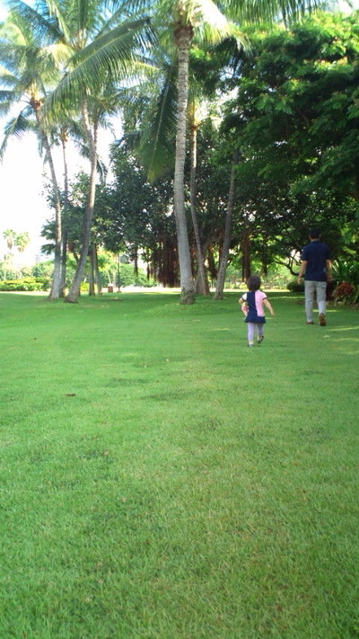20121008085105