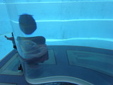 R0012888