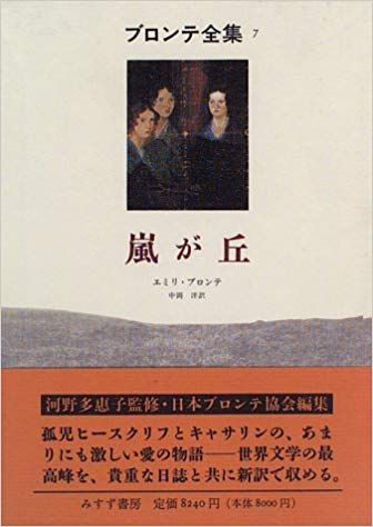 410XBTFSHAL__SX334_BO1,204,203,200_