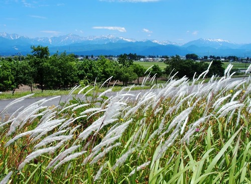 bdff55cf59fdba50f6591074fbfcd53a