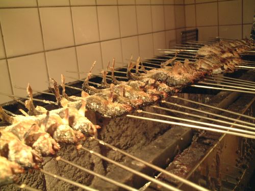 o0500037510200450358