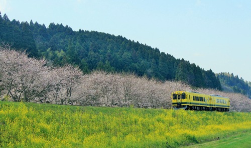 2130973bd0b286ba170405306a316a91