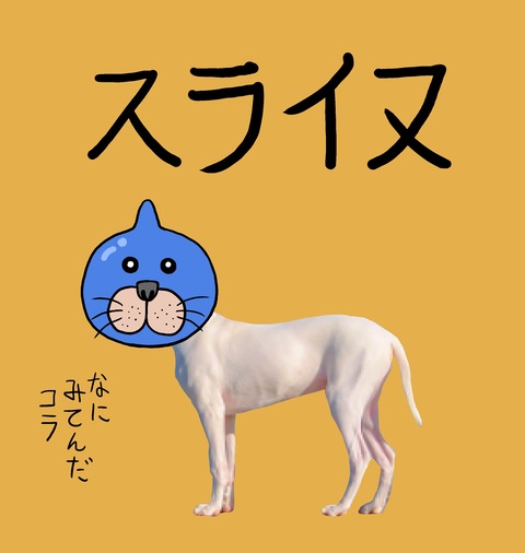 turaimud