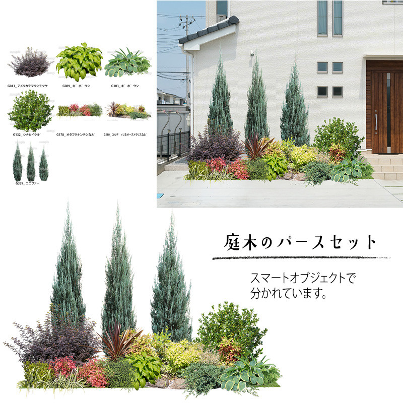 紫色の庭木 植栽 切り抜き素材 ダウンロード販売で自由人になる