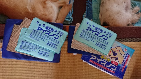 犬用アイスノン 俺 ときどき にぃちゃんとねぇちゃん 犬用アイスノン 俺 ときどき にぃちゃんとねぇちゃん