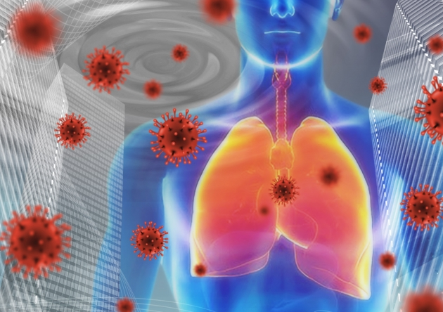 今の時期に鼻毛を処理するのはお勧めしない理由はコレ 感染が拡大している国は気軽に使っているのか ｍ県のうるさいおじさん毒舌ブログ