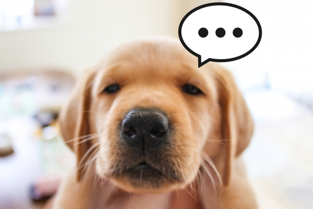 また 電子工業駐車場内 無人の故障車両が夜の21 50から1時間超クラクションが鳴りっぱなし ｍ県のうるさいおじさん毒舌ブログ