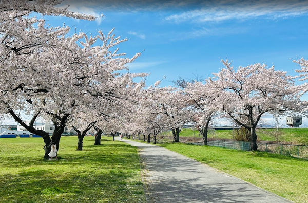 スクリーンショット 2025-12-12 191920