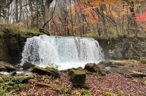 スクリーンショット 2023-11-05 071158