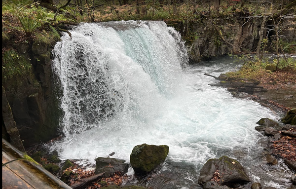 スクリーンショット 2025-11-12 070913