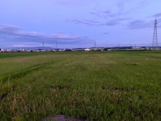 S&P500は6日連続で最高値更新！ロビンフットがIPO申請。大谷さん効果も。