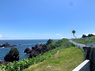 S&P500は最高値を更新！VOOは年初来で15.29％に。【30日の米国市場のまとめと上半期の振り返り】