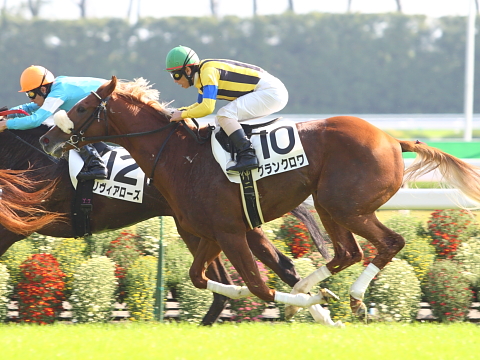 グランクロワ スペシャルなあなた Blog