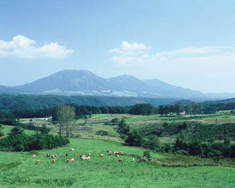 蒜山高原(夏)3