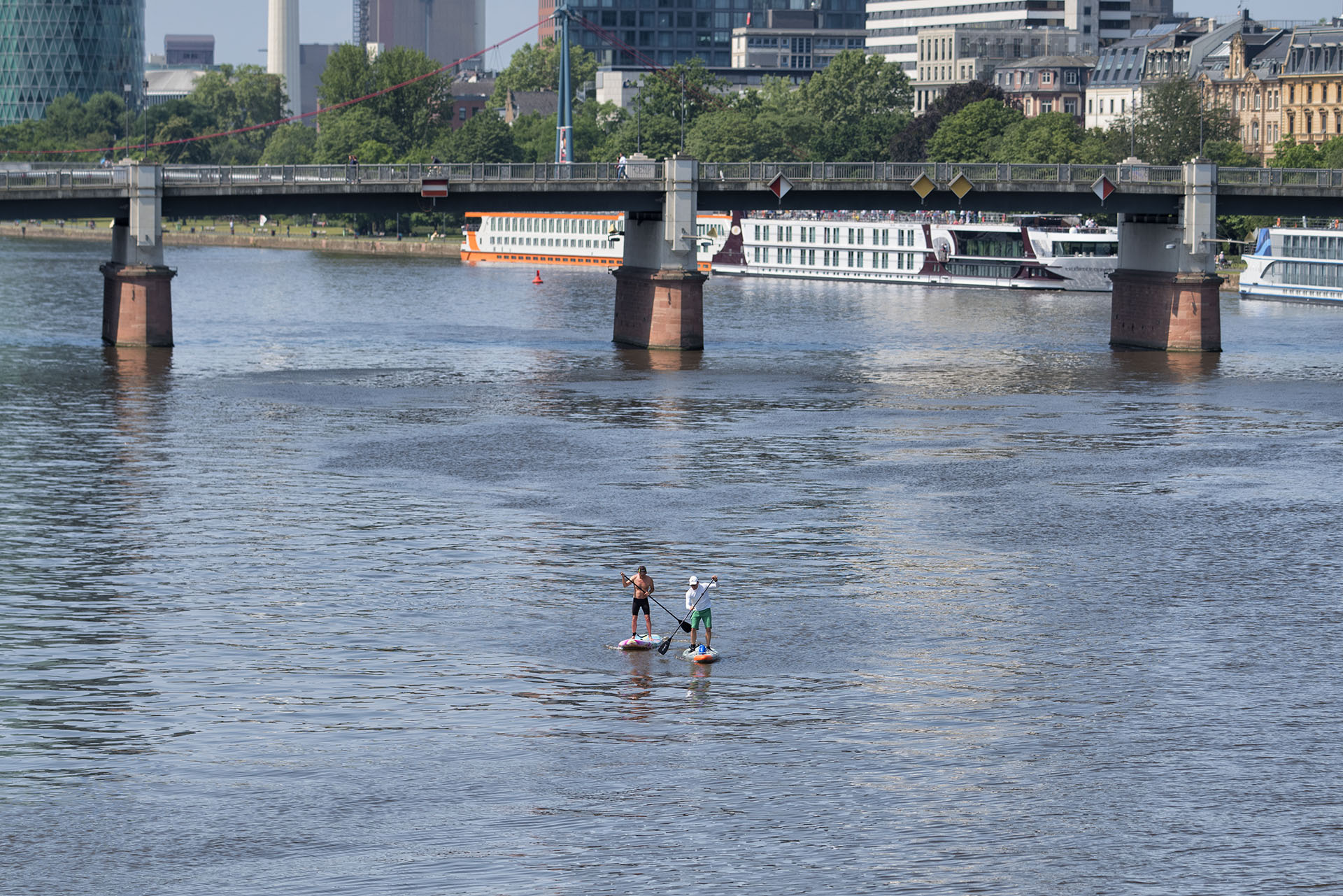 夏のマイン川を散策 星とドイツのブログ