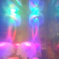 13087477_475462122651073_5108215881606392172_n