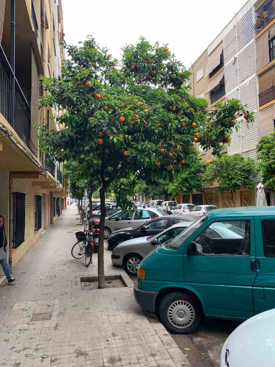 スペイン バレンシアでの日常 こんな所につくったの スペインから発信中のblog スペイン バレンシアでの日常 こんな所につくったの スペインから発信中のblog
