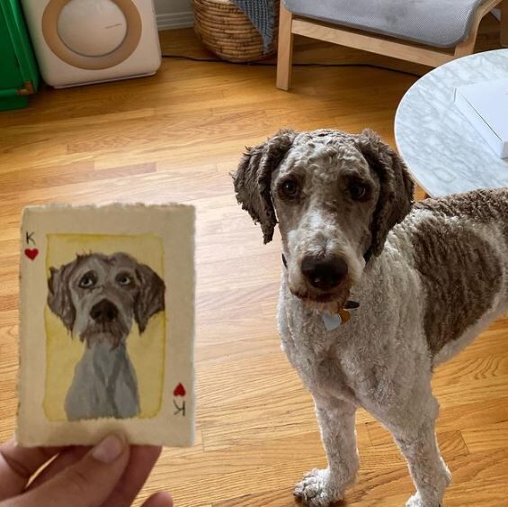 Gracie`s pet dog