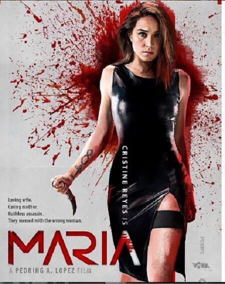 Cristine Reyes Career & Profession