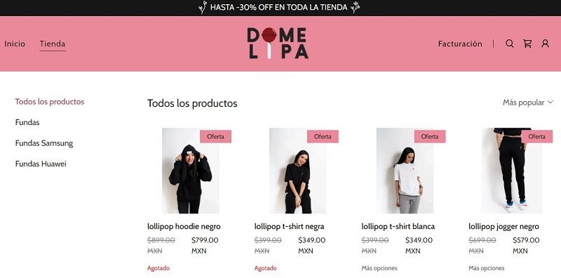 Domelipa is the owner of her own online store