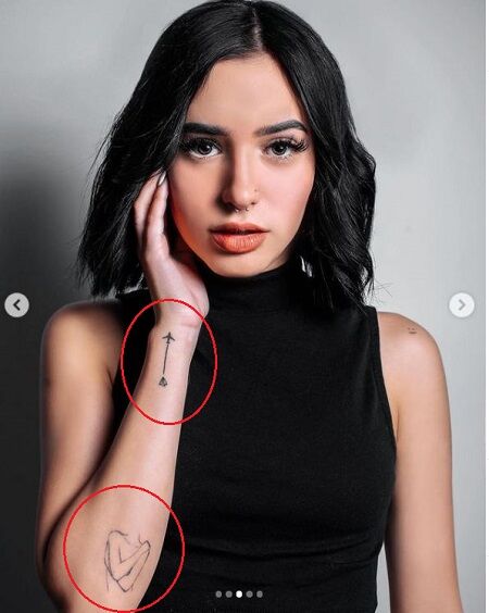 Domelipa tattoos details