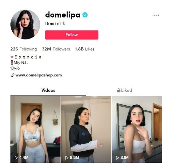 Domelipa Tiktok account has 32+ million fans as of May 2021