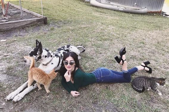 Nivine Jay is an animal lover