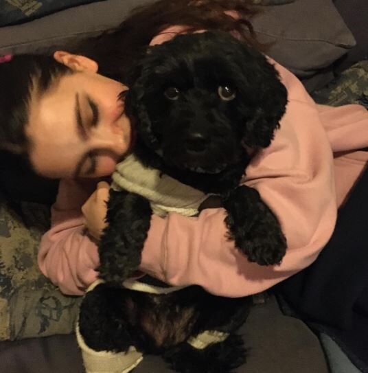 Emily Carey has a pet dog