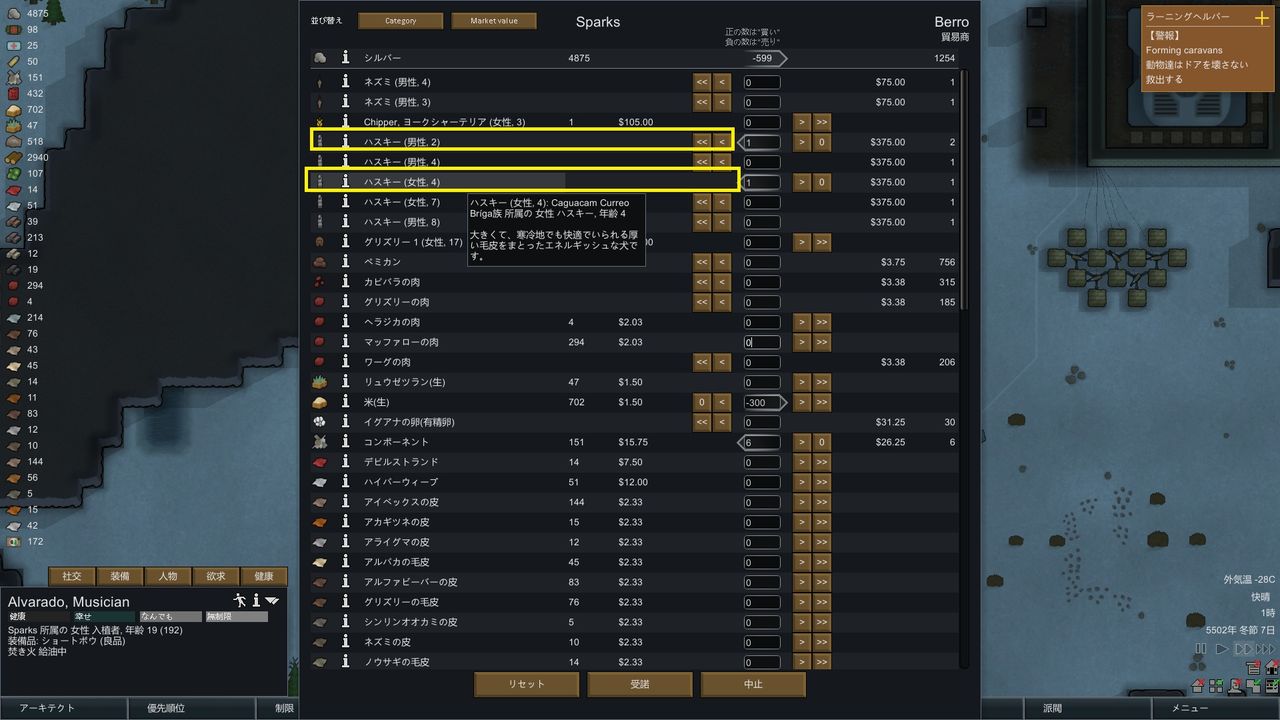 ヨークシャーちゃん凍傷により右耳ちぎれる スパブロ 旧spardasoulのブログ