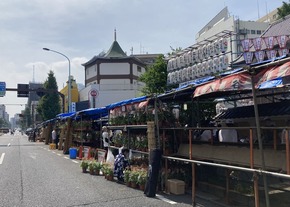 2024.07.07入谷朝顔市