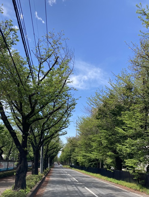 無題2022.04.17