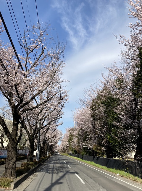 無題2022.04.02