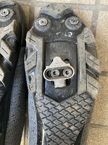 IMG_4534