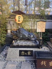 IMG_4611