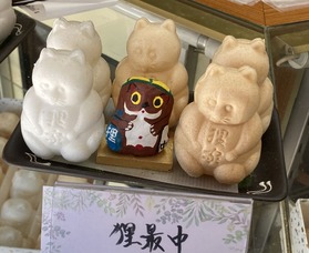 2026.04.03狸最中