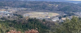 2024.12.26巾着田全景