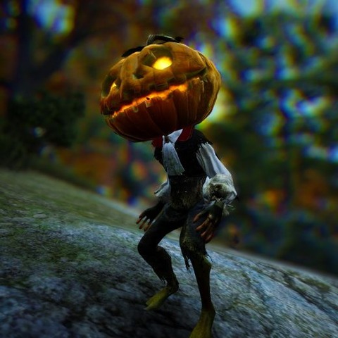 2020-10-31_hallo01