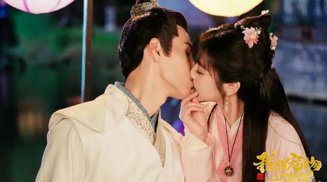 華流ドラマ 我的寵物少將軍 Dvd 全16話 の簡単なあらすじは 最新ドラマあらすじ最終回