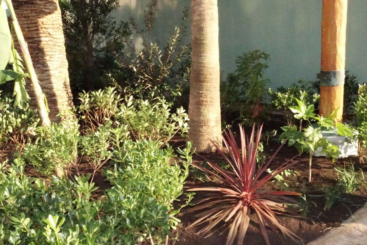 ジュラシックパークエリアが開放的に Usj中心な感じで ジュラシックパークエリアが開放的に Usj中心な感じで