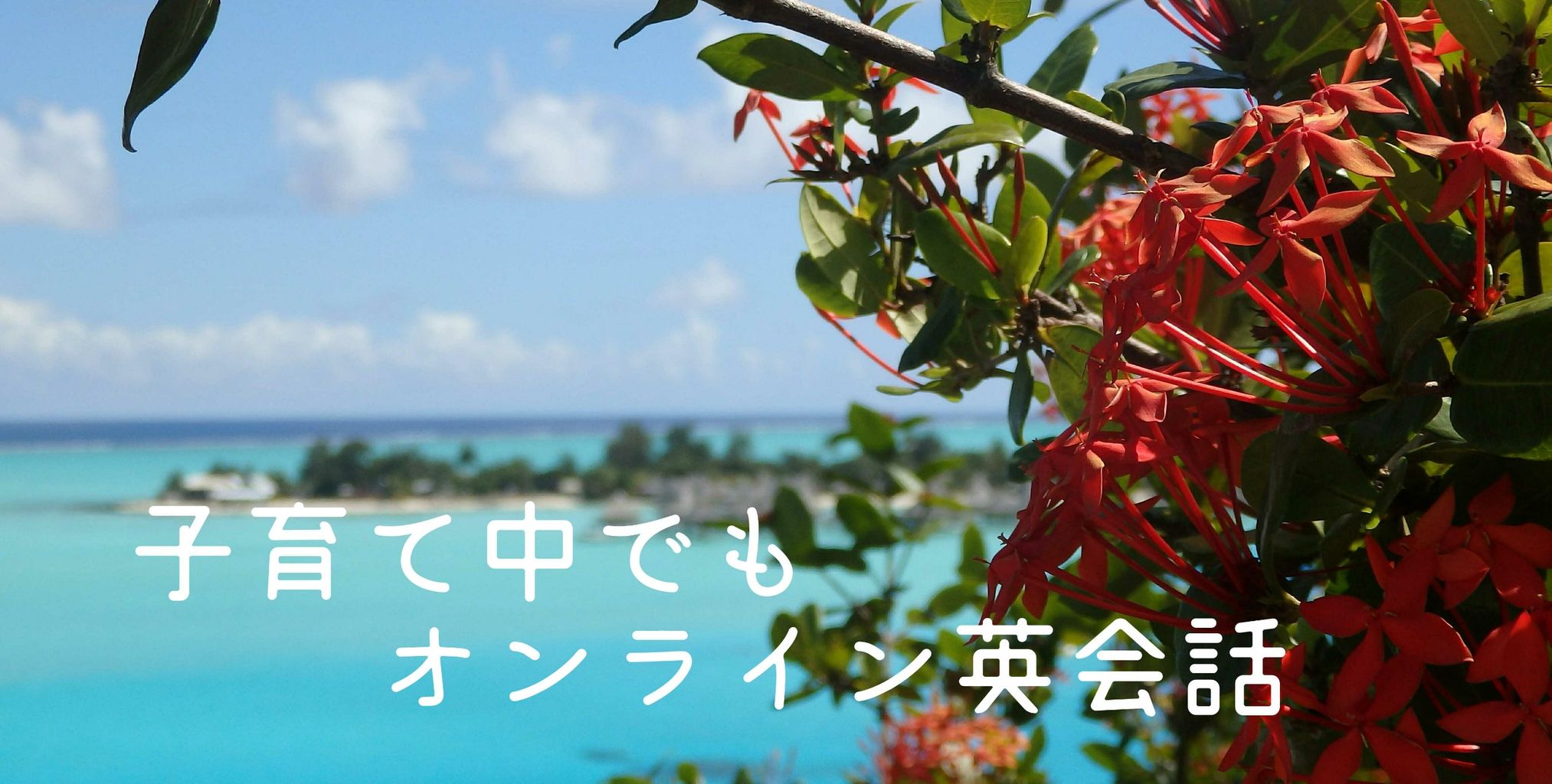 現在の私の英語レベル 学習状況他 随時更新 子育て中でもオンライン英会話