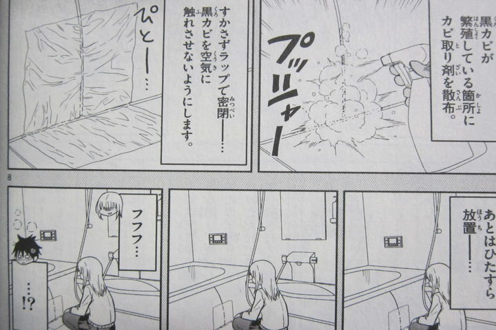 徒然なる一日【実用的お掃除豆知識と可愛い姉】汚物は消毒です 第1巻