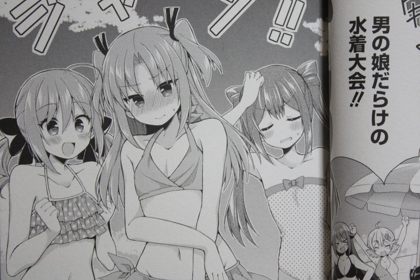 女子力最強の男の娘 ひめゴト 第4巻 徒然なる一日