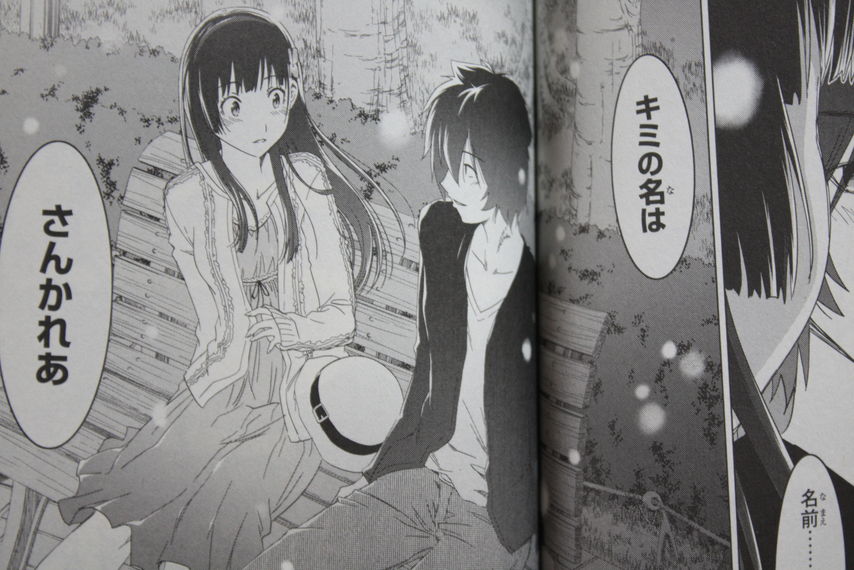 ゾンビの幸せとは さんかれあ 第11巻 徒然なる一日